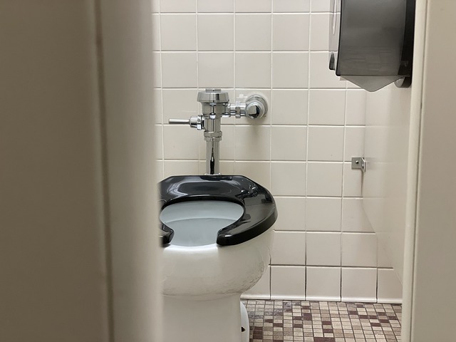 upchatý záchod